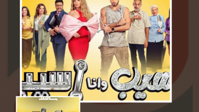 مسلسل "سيب وأنا أسيب".. التهريج في سياق أزمة الأسرة المصرية