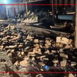 زلزال اليوم