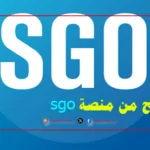 الربح من منصة sgo