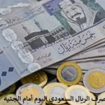 سعر الجنيه المصري مقابل الدولار والسعودي اليوم