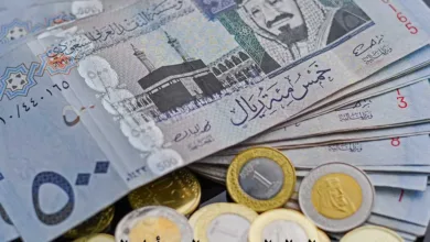 سعر الجنيه المصري مقابل الدولار والسعودي اليوم