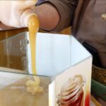 العسل اليمني