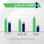السعودية: بين النمو الاقتصادي والنمو الاستهلاكي