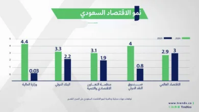 السعودية: بين النمو الاقتصادي والنمو الاستهلاكي