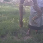 أبطال جبهة حذران: صمود لا تهزه الأيام وتضحيات خالدة