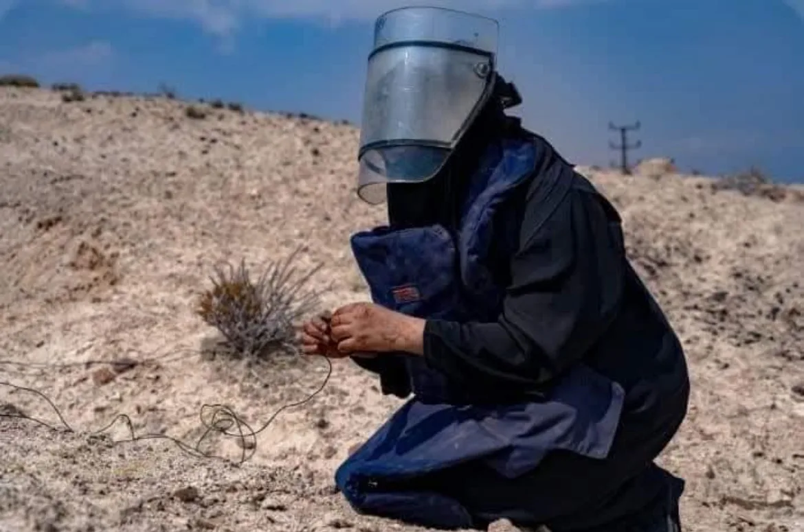 أميمة.. يمنية تُعيد تعريف الشجاعة.. امرأة ...