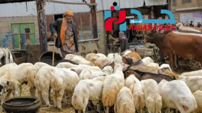 عيد الأضحى في اليمن: بين ضجيج الأسواق وصمت الجيوب الخاوية