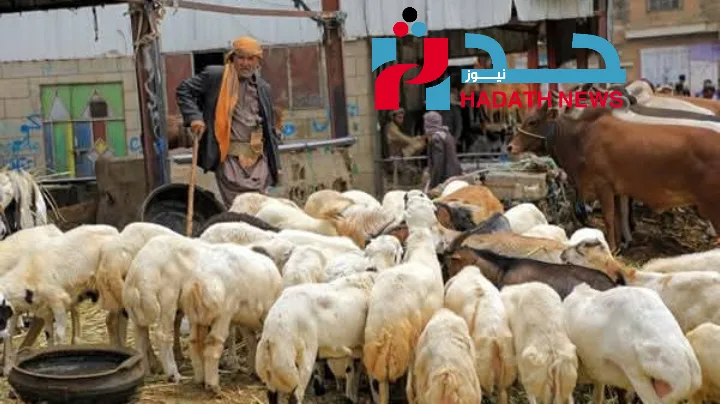 عيد الأضحى في اليمن: بين ضجيج الأسواق وصمت الجيوب الخاوية