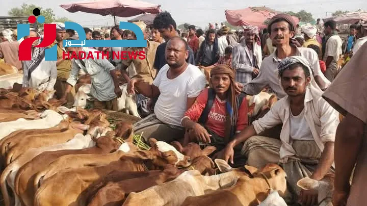 اليمن: ارتفاع تاريخي لأسعار الأضاحي يزيد معاناة المواطنين