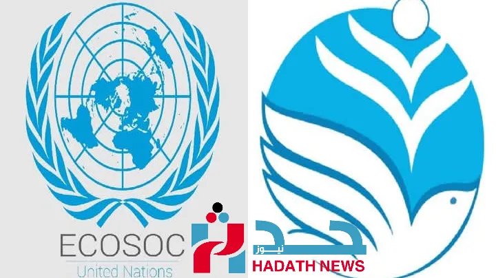 منظمة “سام” تحصل على الصفة الاستشارية بالأمم المتحدة