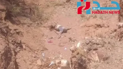 جثة مجهولة تثير القلق في منطقة الجرين