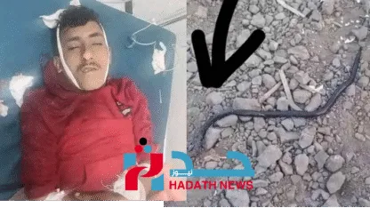 ثعبان أسود ينهي حياة شاب في المسراخ.. 3 دقائق فقط!