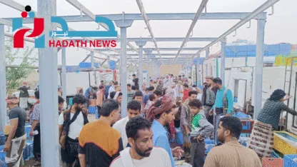 مدير عام مسالخ تعز يوضح أسباب نقل سوق الأسماك إلى الضباب