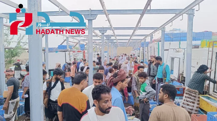 12746مدير عام مسالخ تعز يوضح أسباب نقل سوق الأسماك إلى الضباب مدير عام مسالخ تعز يوضح أسباب نقل سوق الأسماك إلى الضباب