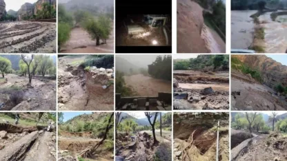 سيول شرعب: الإنسان والطبيعة.